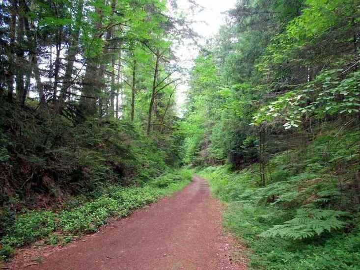 Cowichan Valley community setting
