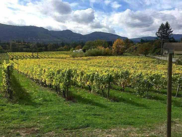Lifestyle near Cowichan Valley