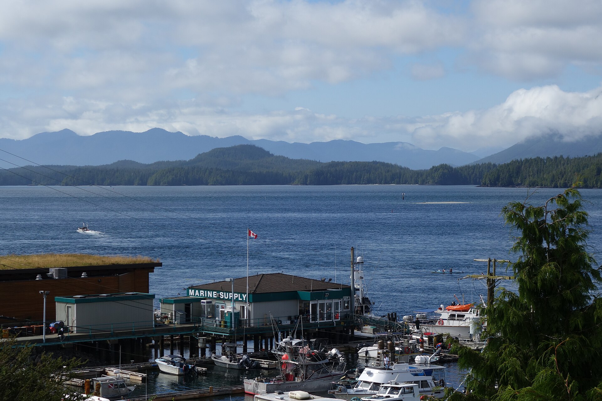 West Coast setting in Tofino harbour