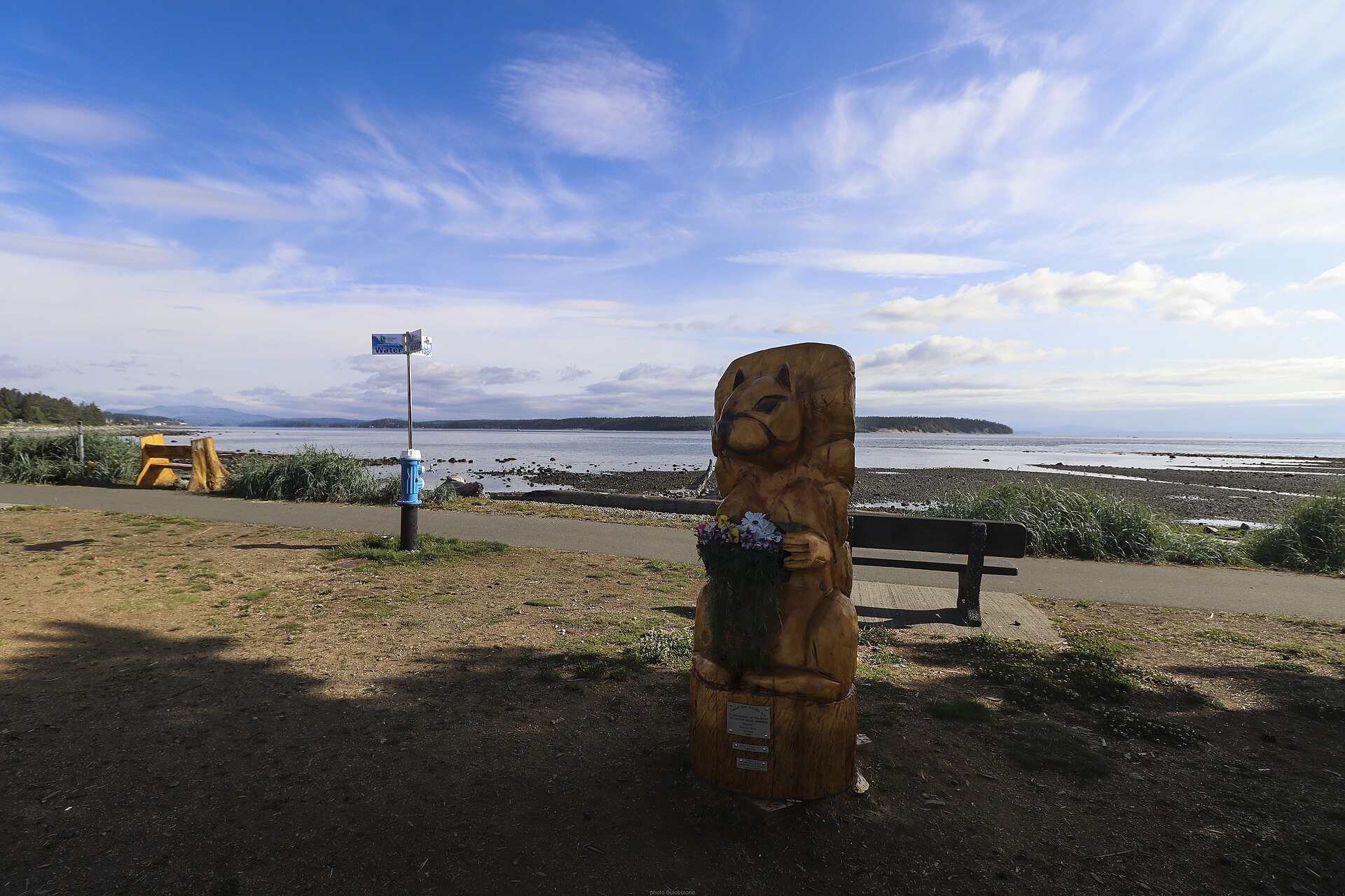 Outdoor recreation in Elk Falls Campbell River