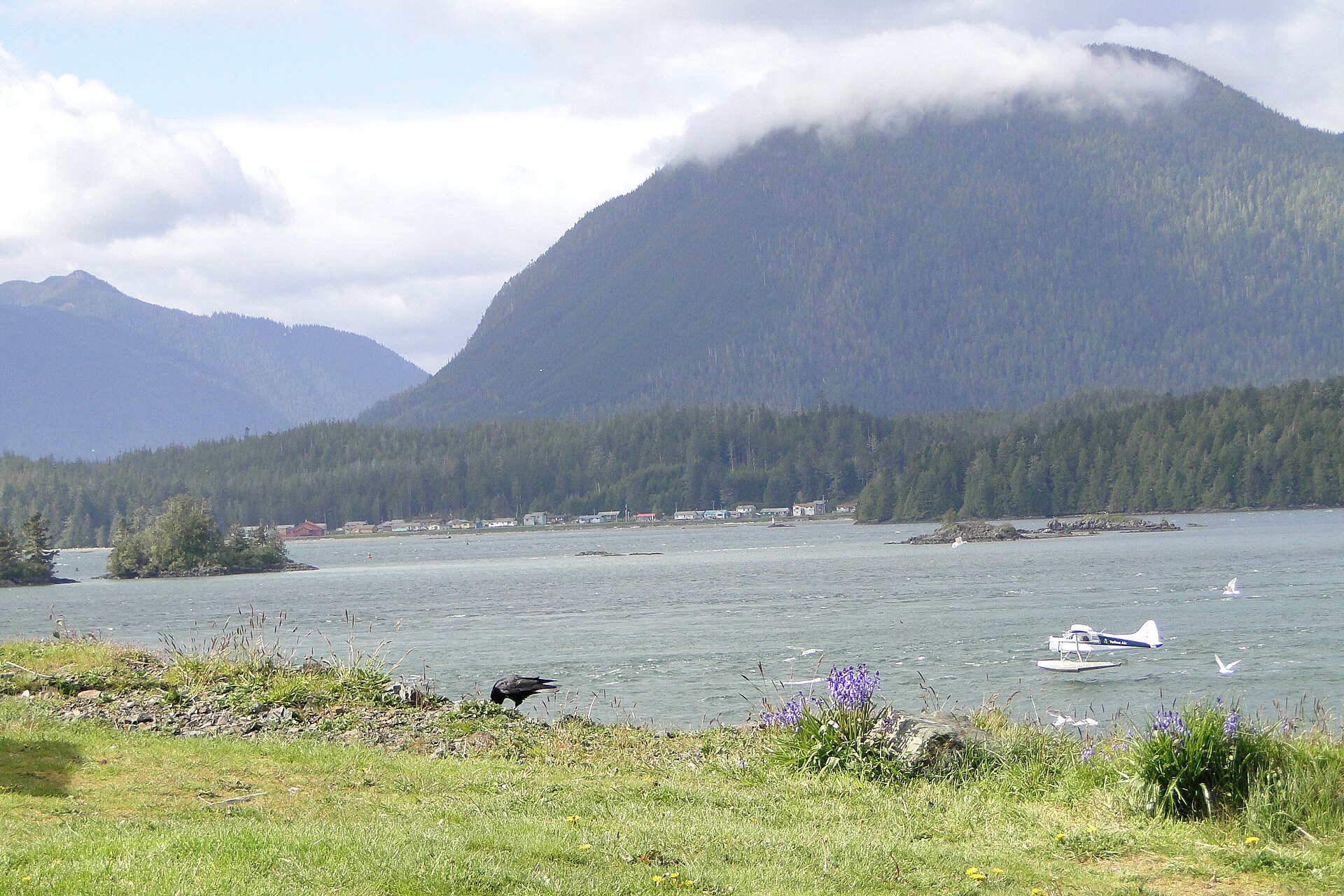 Coastal trail in Ucluelet Wild Pacific Trail