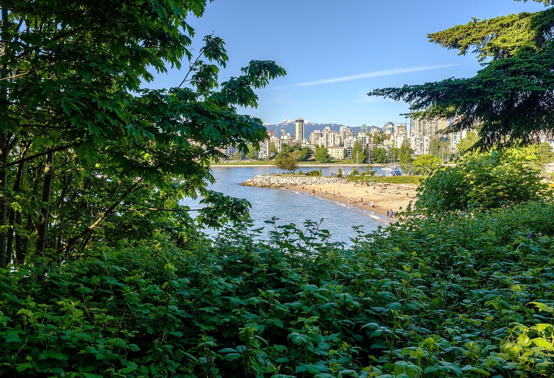 Vancouver homes and neighbourhood lifestyle